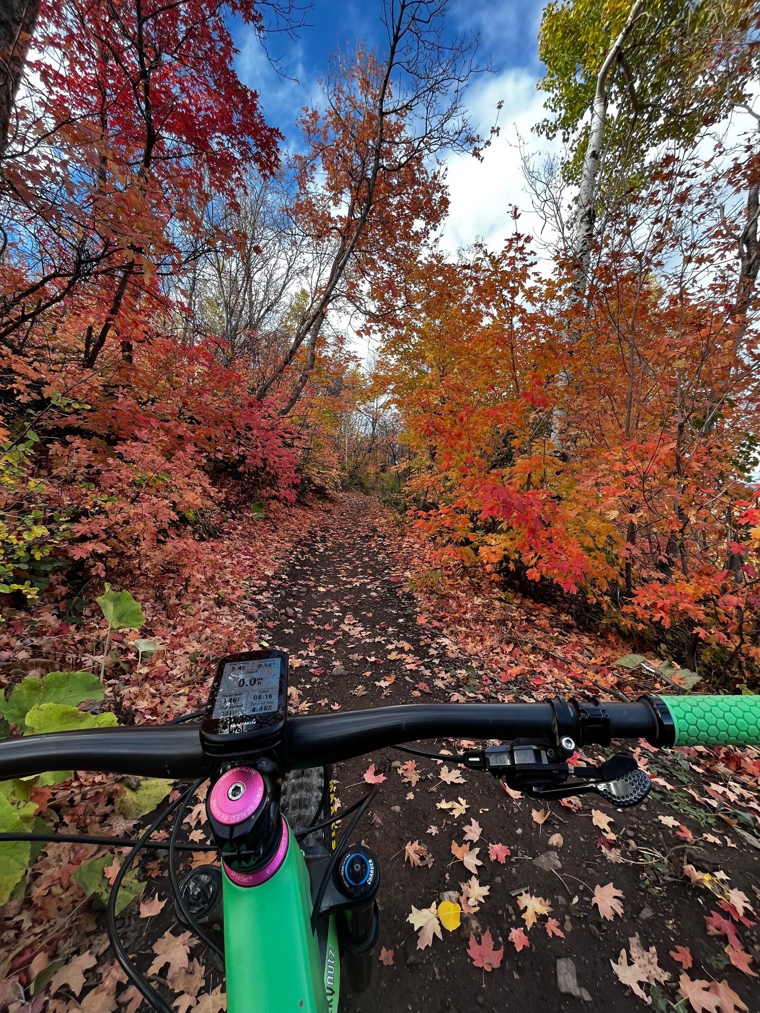 Guided Rides